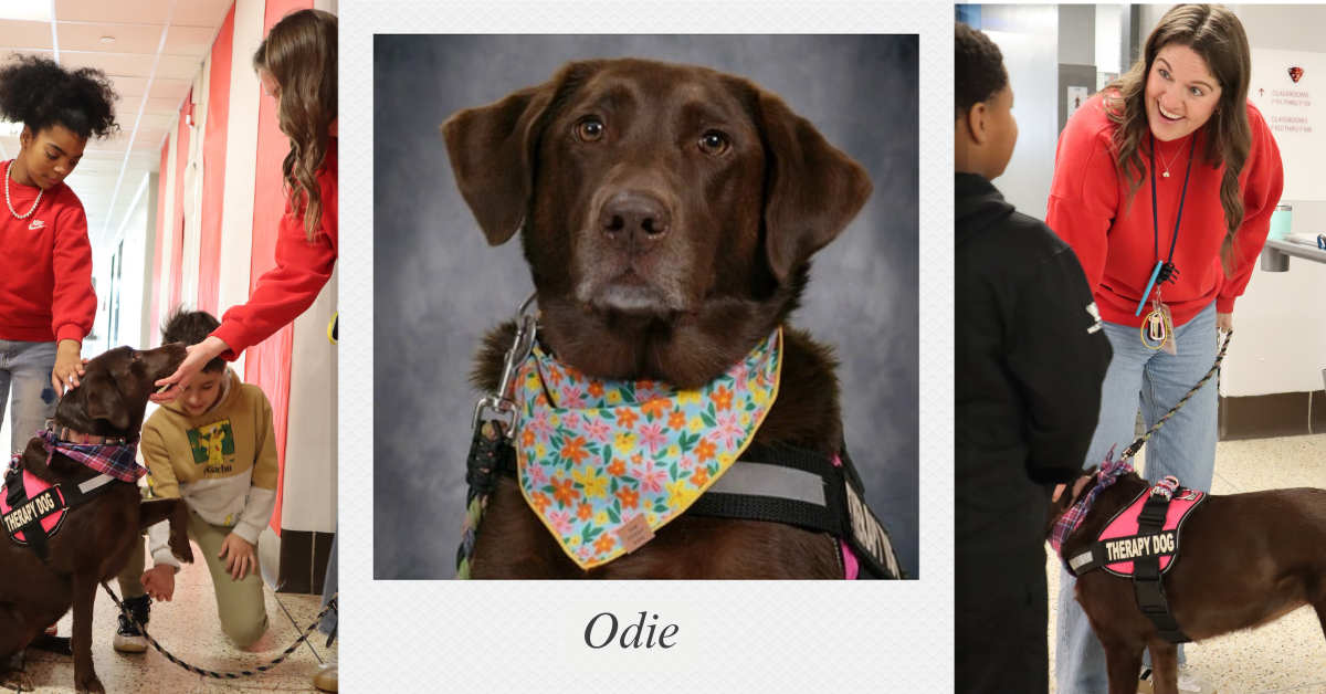 Odie the Therapy Dog